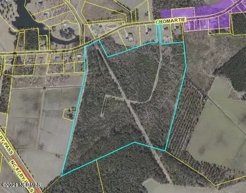 0 Cromartie Rd, Elizabethtown, NC 28337