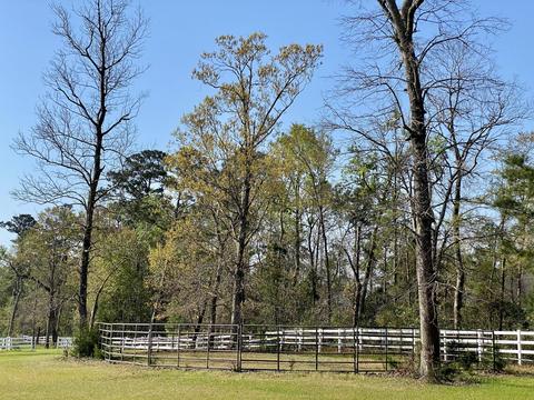 528 Captain Beam Blvd, Hampstead, NC 28443 photo 34