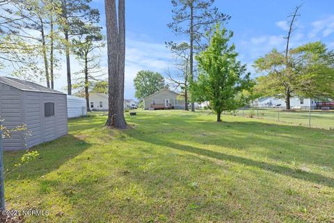 610 Raspberry Ct, Hubert, NC 28539 photo 26