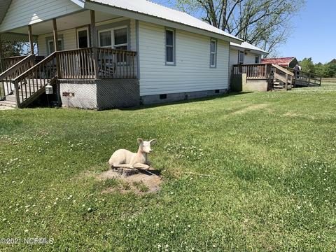 5178 Coras Grove Rd, Willard, NC 28478 photo 6