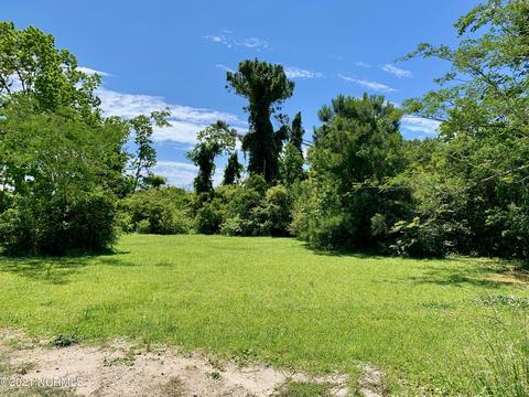 133 Alfred Dr, Gloucester, NC 28528 photo 4