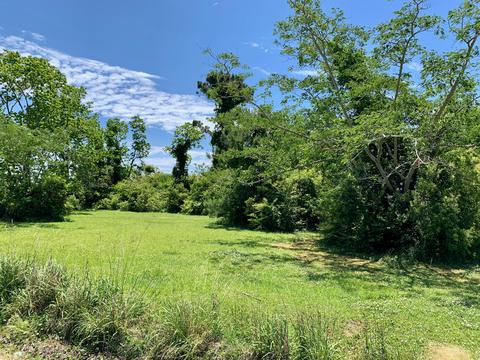 133 Alfred Dr, Gloucester, NC 28528 photo 1
