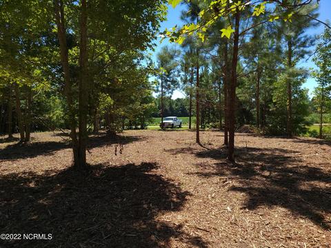 35 Treasure Pointe Dr, Bath, NC 27808 photo 13