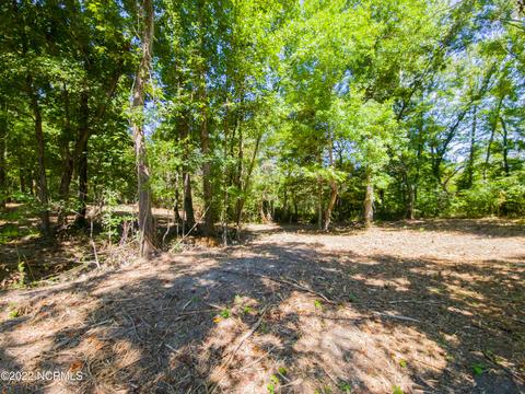 35 Treasure Pointe Dr, Bath, NC 27808 photo 8