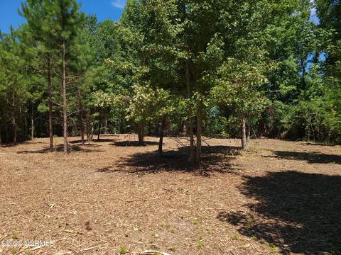 35 Treasure Pointe Dr, Bath, NC 27808 photo 4