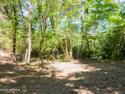 35 Treasure Pointe Dr, Bath, NC 27808 photo 10