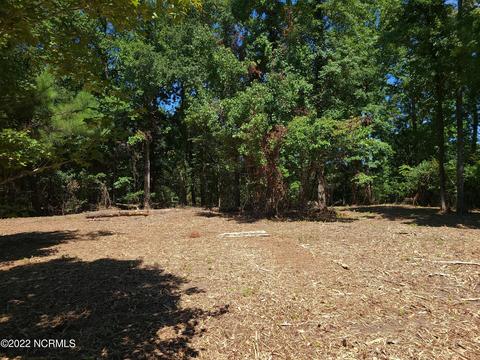 35 Treasure Pointe Dr, Bath, NC 27808 photo 5
