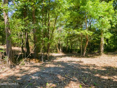 35 Treasure Pointe Dr, Bath, NC 27808 photo 9