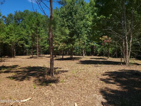 35 Treasure Pointe Dr, Bath, NC 27808 photo 3