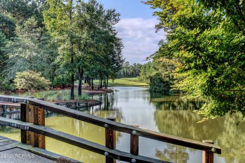 151 Firefly Dr, Wallace, NC 28466 photo 63