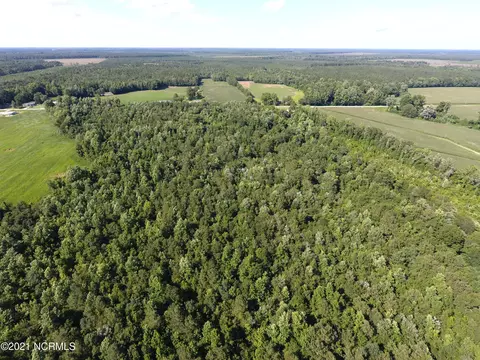3909 Wyse Fork Rd, Dover, NC 28526 photo 4