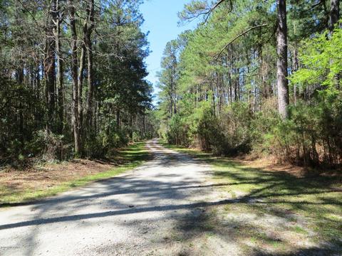260 Donnie Davis Rd, Williston, NC 28579 photo 9
