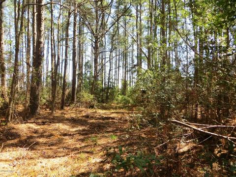 260 Donnie Davis Rd, Williston, NC 28579 photo 5