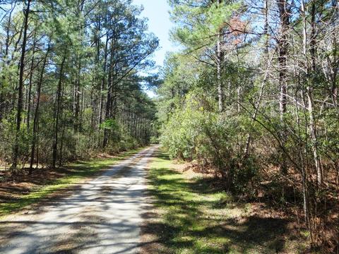 260 Donnie Davis Rd, Williston, NC 28579 photo 8