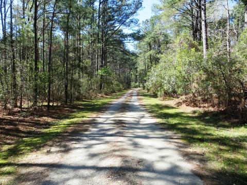 260 Donnie Davis Rd, Williston, NC 28579 photo 2