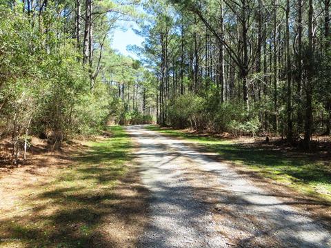 260 Donnie Davis Rd, Williston, NC 28579 photo 11