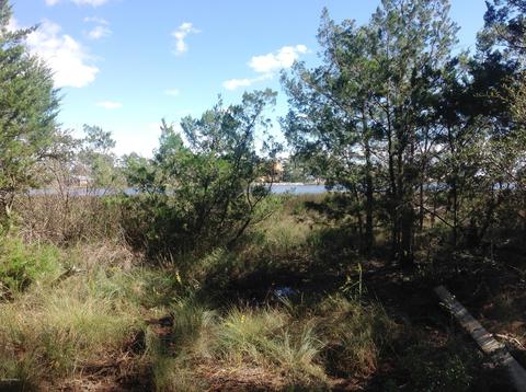 260 Donnie Davis Rd, Williston, NC 28579 photo 16