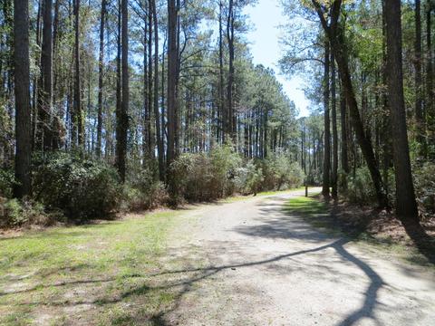 260 Donnie Davis Rd, Williston, NC 28579 photo 3