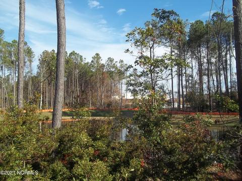 507 Trellis Rd, Hampstead, NC 28443 photo 22
