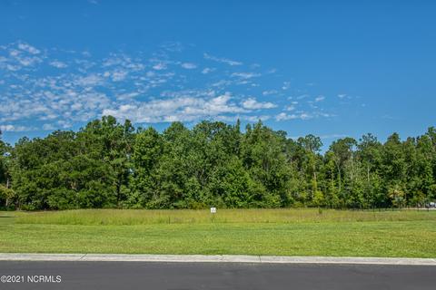 304 Frans Path, Hampstead, NC 28443 photo 7