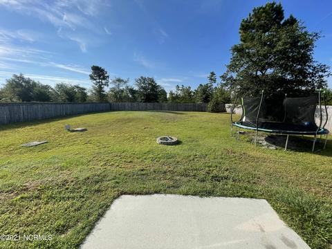127 Blueberry Fields Rd, Maple Hill, NC 28454 photo 4