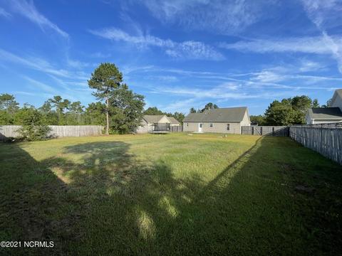 127 Blueberry Fields Rd, Maple Hill, NC 28454 photo 2