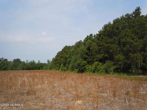 2645 Us 701, Loris, SC 29569 photo 12