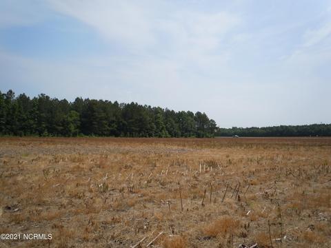 2645 Us 701, Loris, SC 29569 photo 15