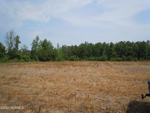 2645 Us 701, Loris, SC 29569 photo 14