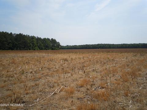 2645 Us 701, Loris, SC 29569 photo 4