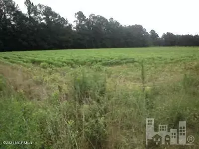 819 Bee Tree Rd, Chadbourn, NC 28431 photo 3