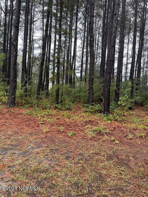 576 Bald Eagle Dr, Vass, NC 28394 photo 2