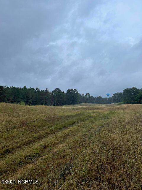576 Bald Eagle Dr, Vass, NC 28394 photo 1