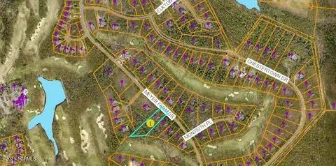 219 Meyer Farm Dr, Pinehurst, NC 28374 photo 3