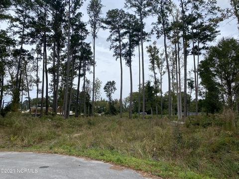 1007 Beech Tree Rd, Jacksonville, NC 28546 photo 5