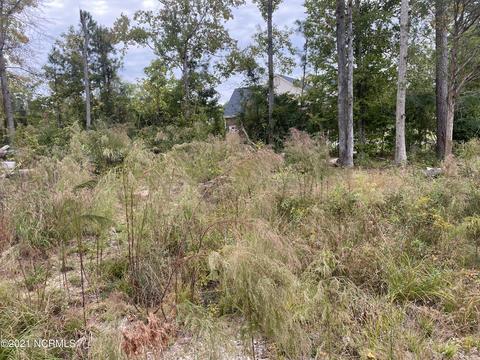 1007 Beech Tree Rd, Jacksonville, NC 28546 photo 2