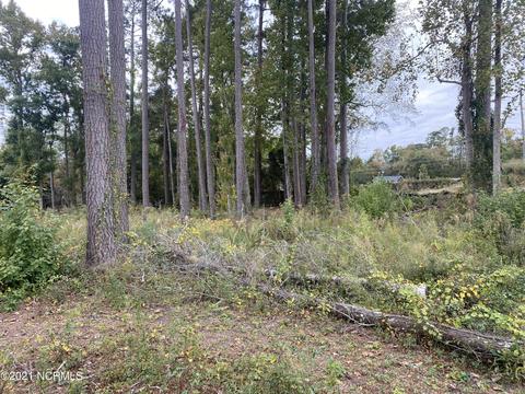 1007 Beech Tree Rd, Jacksonville, NC 28546 photo 4