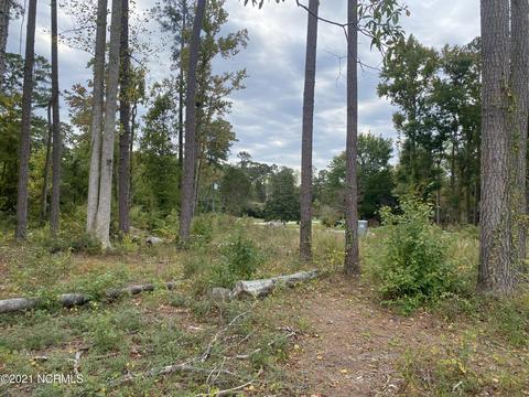 1007 Beech Tree Rd, Jacksonville, NC 28546 photo 3