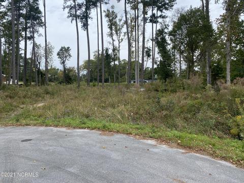 1007 Beech Tree Rd, Jacksonville, NC 28546 photo 1