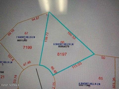 6 Short Hills Ln, Pinehurst, NC 28374 photo 21