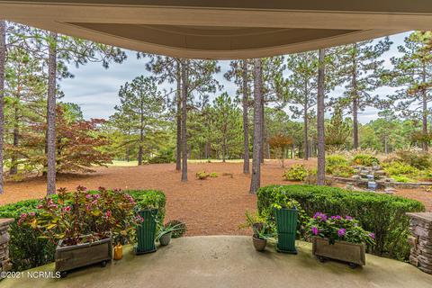 415 Meyer Farm Dr, Pinehurst, NC 28374 photo 44
