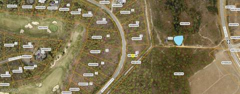 16 Chestertown Dr, Pinehurst, NC 28374 photo 5
