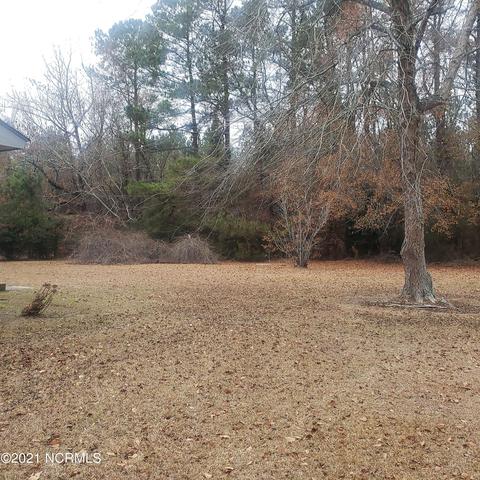 9614 Piney Woods Rd, Willard, NC 28478 photo 9