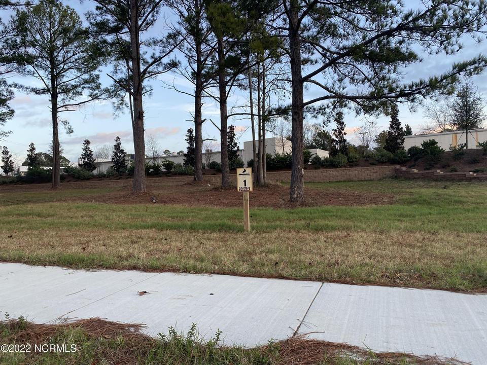 345 Preservation Point Ave, Wilmington, NC 28401 8