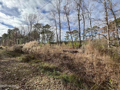 246 Charlie Rd, Arapahoe, NC 28510