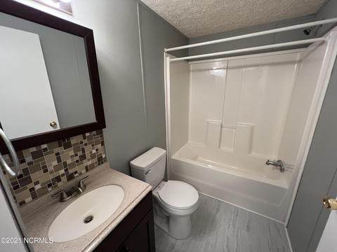 111 Red Tip Ln, Willard, NC 28478 photo 7