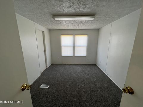 111 Red Tip Ln, Willard, NC 28478 photo 12