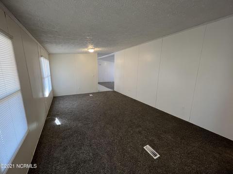 111 Red Tip Ln, Willard, NC 28478 photo 4