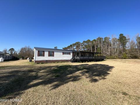 111 Red Tip Ln, Willard, NC 28478 photo 1