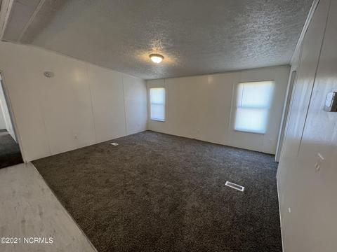 111 Red Tip Ln, Willard, NC 28478 photo 9